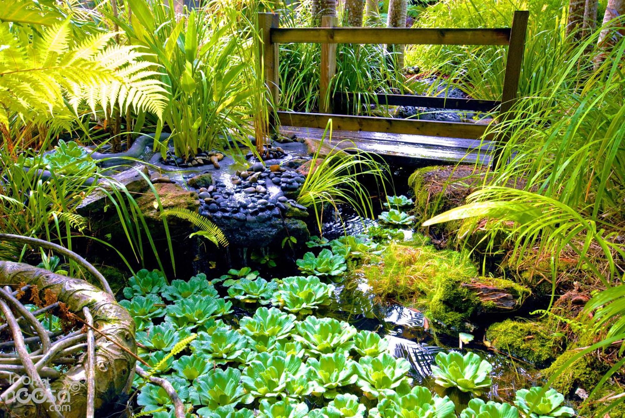 Noosa Village River Resort Noosaville Luaran gambar